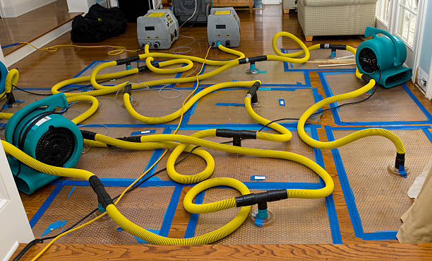 Professional Water Damage Repair technician working in Pelahatchie, MS
